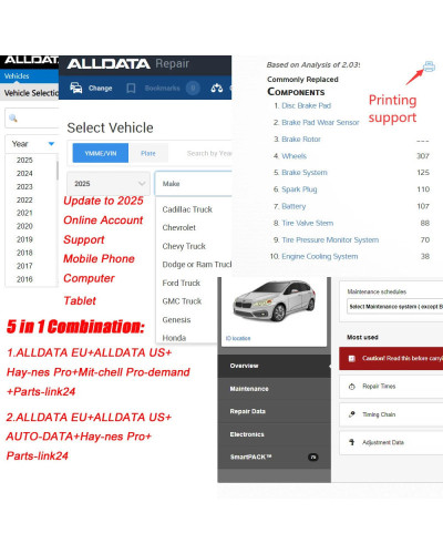 Alldata-Cuenta de datos...