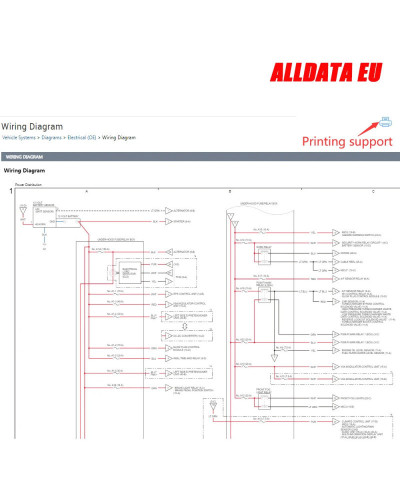 Alldata-Cuenta de datos automáticos en línea para Auto-Data, hen-nes Pro, mit-chell, taller, Software de reparación de automóvil