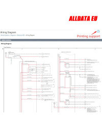 Alldata-Cuenta de datos automáticos en línea para Auto-Data, hen-nes Pro, mit-chell, taller, Software de reparación de automóvil