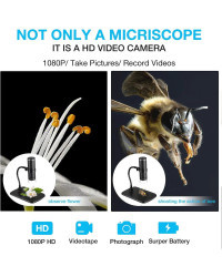 Microscopio Digital USB de mano, cámara de inspección HD con aumento de 50x-1000x, soporte Flexible para iPhone, iPad y PC