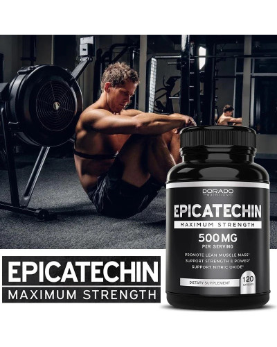 Extracto de epicatecina, admite músculo magro, óxido nítrico, inhibidor de Carnosine, bomba y ganancia, 500 Mg por ración