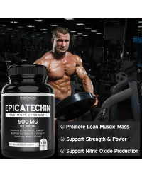 Extracto de epicatecina, admite músculo magro, óxido nítrico, inhibidor de Carnosine, bomba y ganancia, 500 Mg por ración