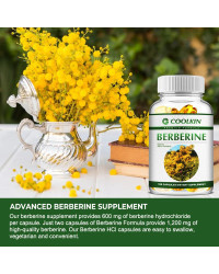 Suplemento de berberina Premium-1200 Mg por ración-Suplemento de berberina HCL, no soporta transgénicos