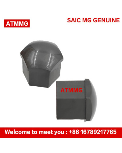 ATMMG Original For SAIC MG ZS MG5 MG6 HS EHS RX5 EI5 EI6 Tire Screw Ca