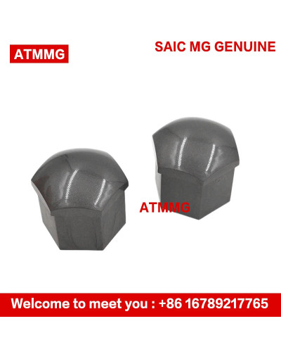 ATMMG Original For SAIC MG ZS MG5 MG6 HS EHS RX5 EI5 EI6 Tire Screw Ca