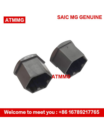 ATMMG Original For SAIC MG ZS MG5 MG6 HS EHS RX5 EI5 EI6 Tire Screw Ca