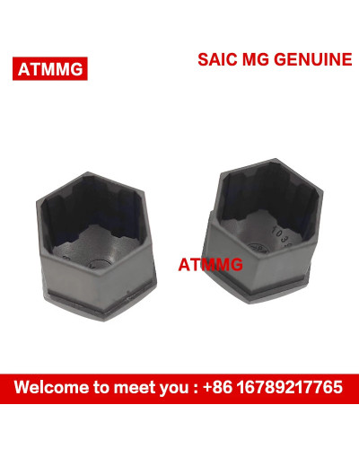 ATMMG Original For SAIC MG ZS MG5 MG6 HS EHS RX5 EI5 EI6 Tire Screw Ca