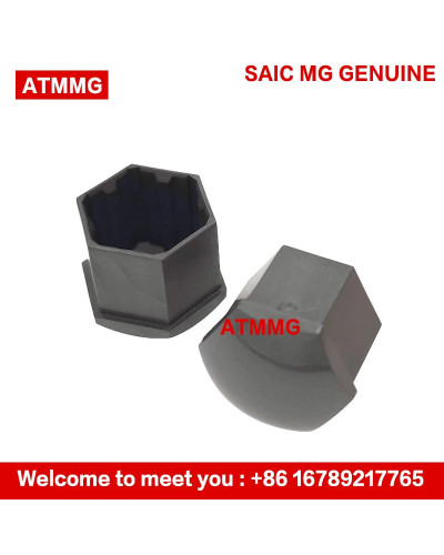 ATMMG Original For SAIC MG ZS MG5 MG6 HS EHS RX5 EI5 EI6 Tire Screw Ca