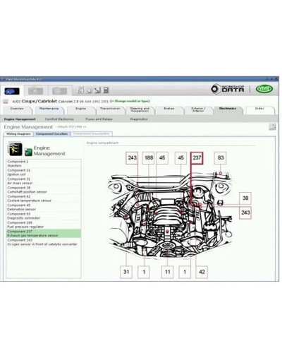 Newest version Auto data 3.45 and vivid workshop 10.2 Auto Repair Soft