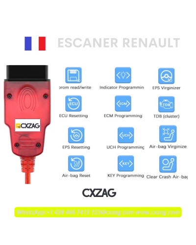 3295 Renault Programmer
