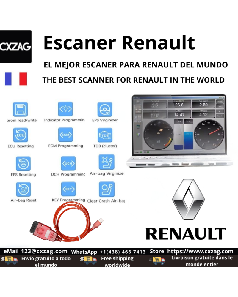 3295 Renault Programmer