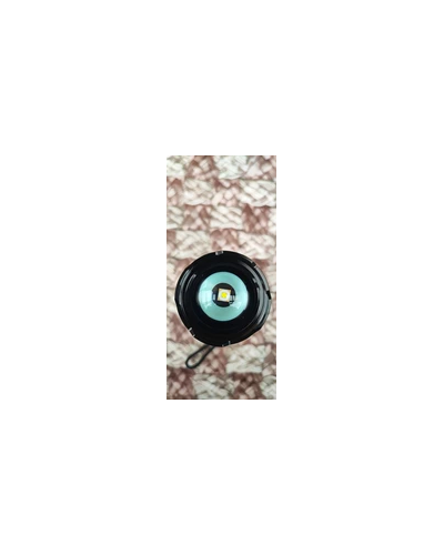 ID:3304