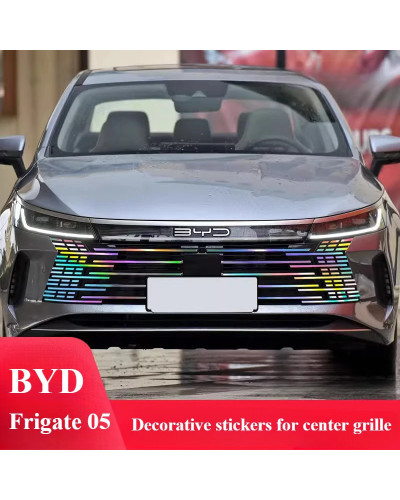 Para BYD KING centro decoración de red pegatinas de coche láser imperm