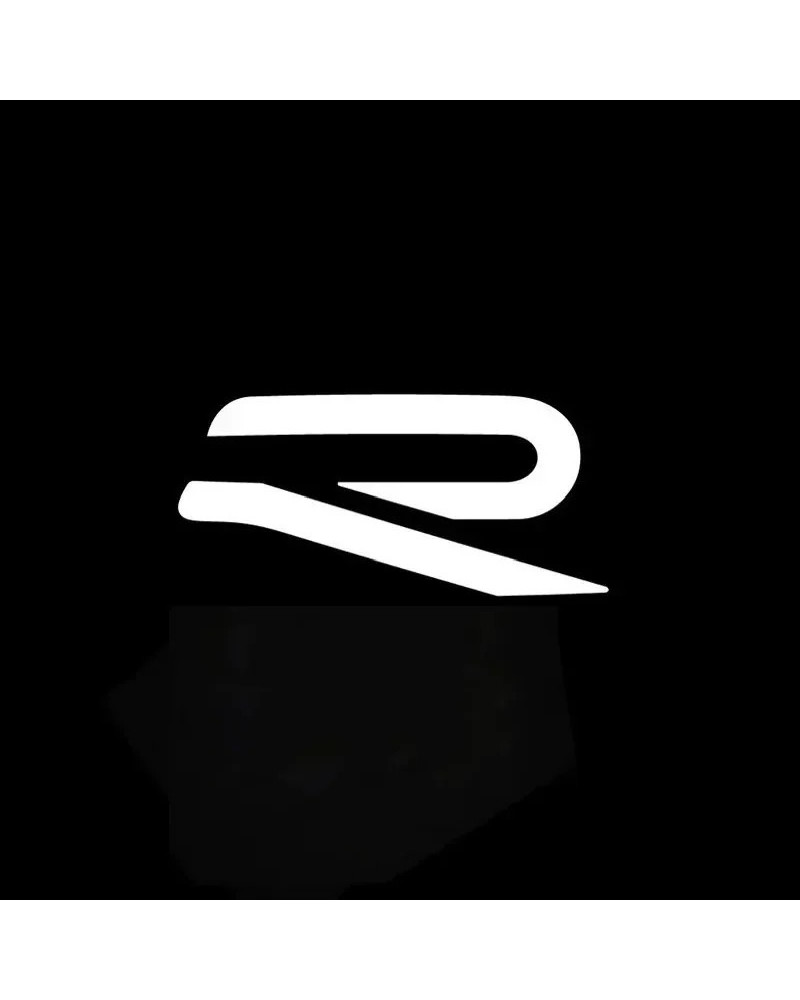 Luz de bienvenida de proyección de puerta con logotipo LED para coche,