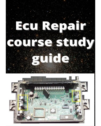 Professional ECU Repair Course