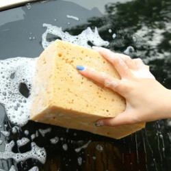 Large Wash Sponge Car...