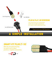 Luz LED blanca para placa de matrícula trasera de Ford Mustang, Base de luz de matrícula, Bombilla TT, GT Shelby, GT500, GT500KR