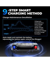 TOPDON-cargador de batería para coche, dispositivo inteligente de Gel para motocicleta, TB8000, 6v, 12v, 5a, 6a, 8a, 3a