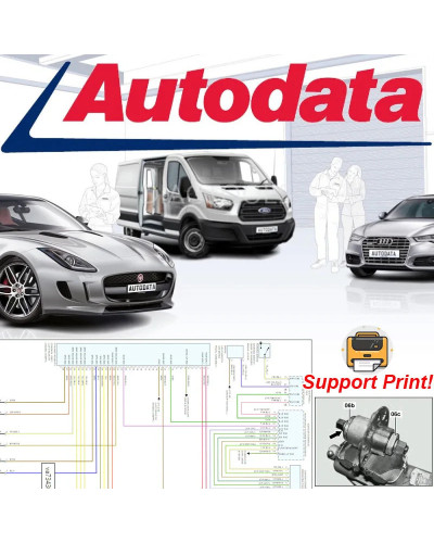 2024 Alldata Repair USA Europe EU Autodata Identifix Mitchell 5 IN 1 U