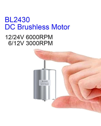 BL2430 DC Brushless 6W 12V 24V 6000 8000RPM Support 6V 12V 3000 4000RP