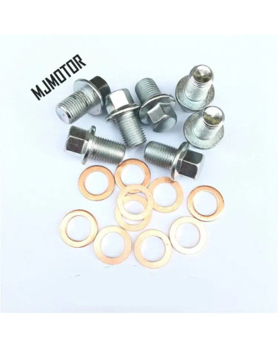 Oil sump screw with copper bushing kit for Chinese SAIC ROEWE 550 MG6 