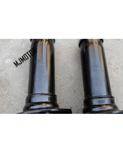 1pc Shock absorber assy. Front Left and Right for Chinese SAIC ROEWE W